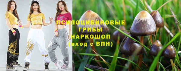 винт Абаза