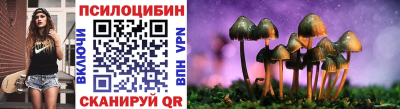 Галлюциногенные грибы Cubensis закладки Болхов